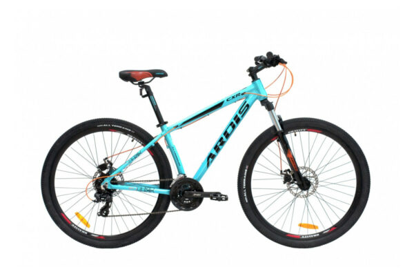 ARDIS CXR 29